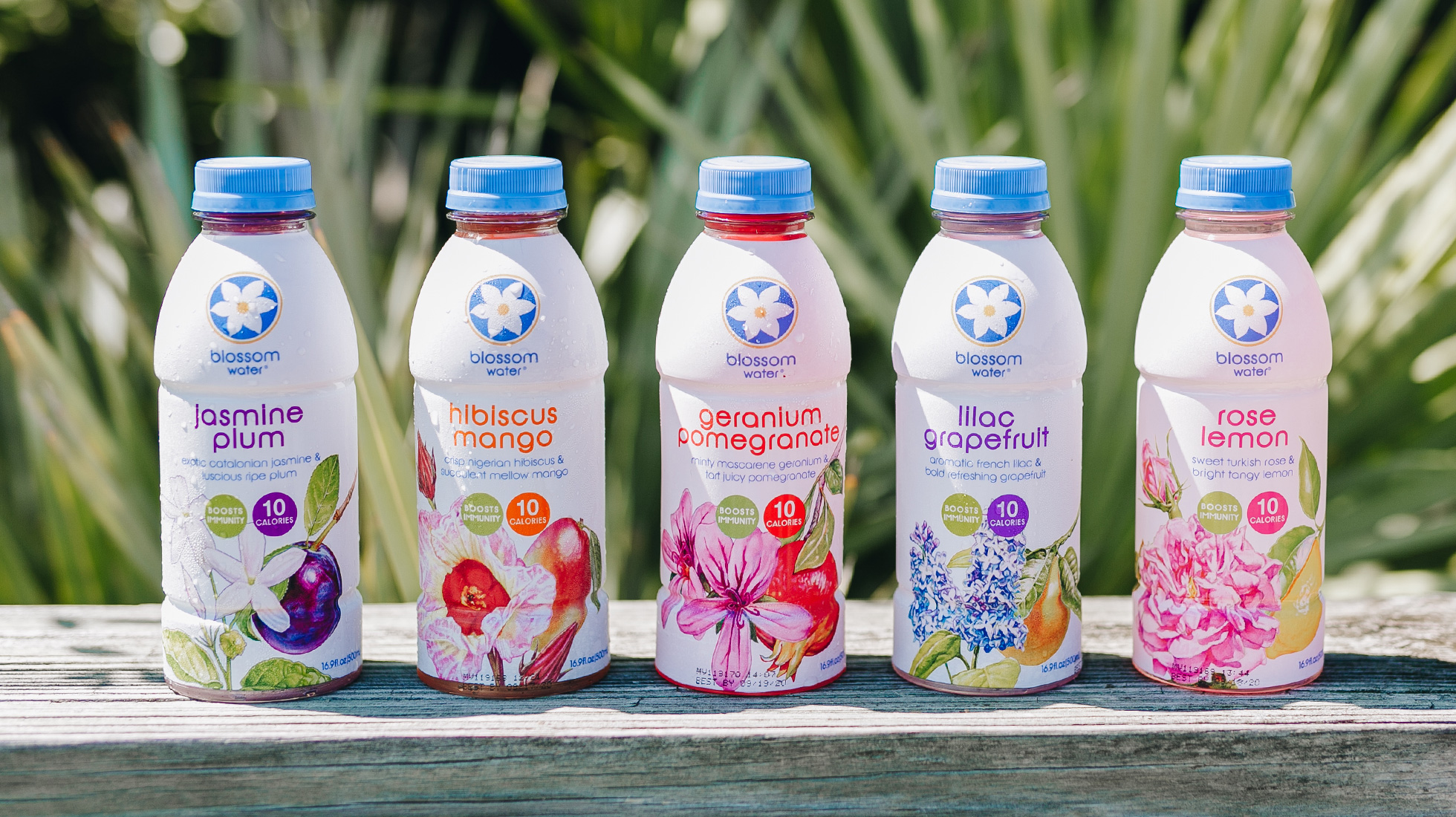 Blossom Botanical Water products lined up
