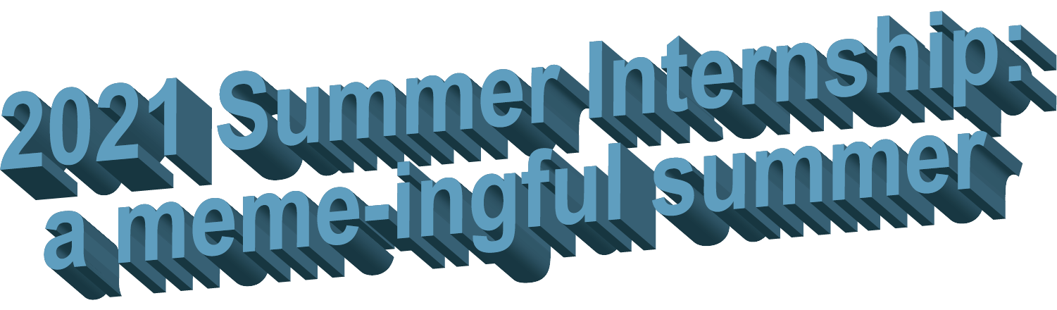2021 Summer Internship: a meme-ingful summer