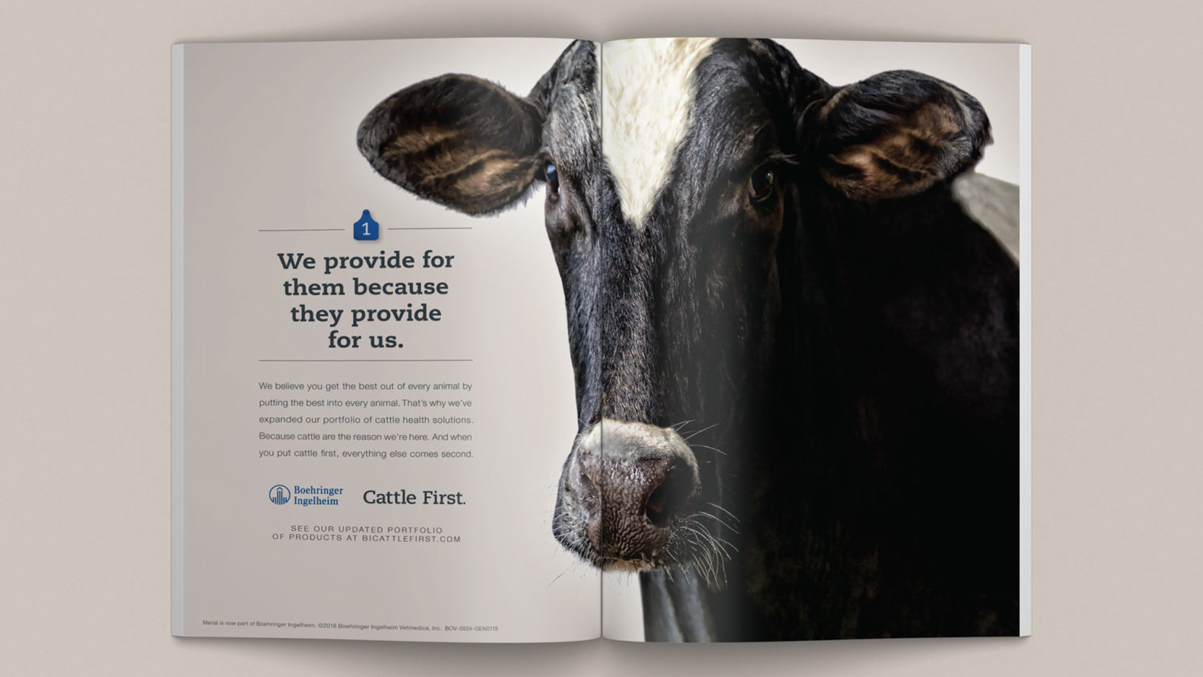 Boehringer Ingelheim Cattle First magazine ad