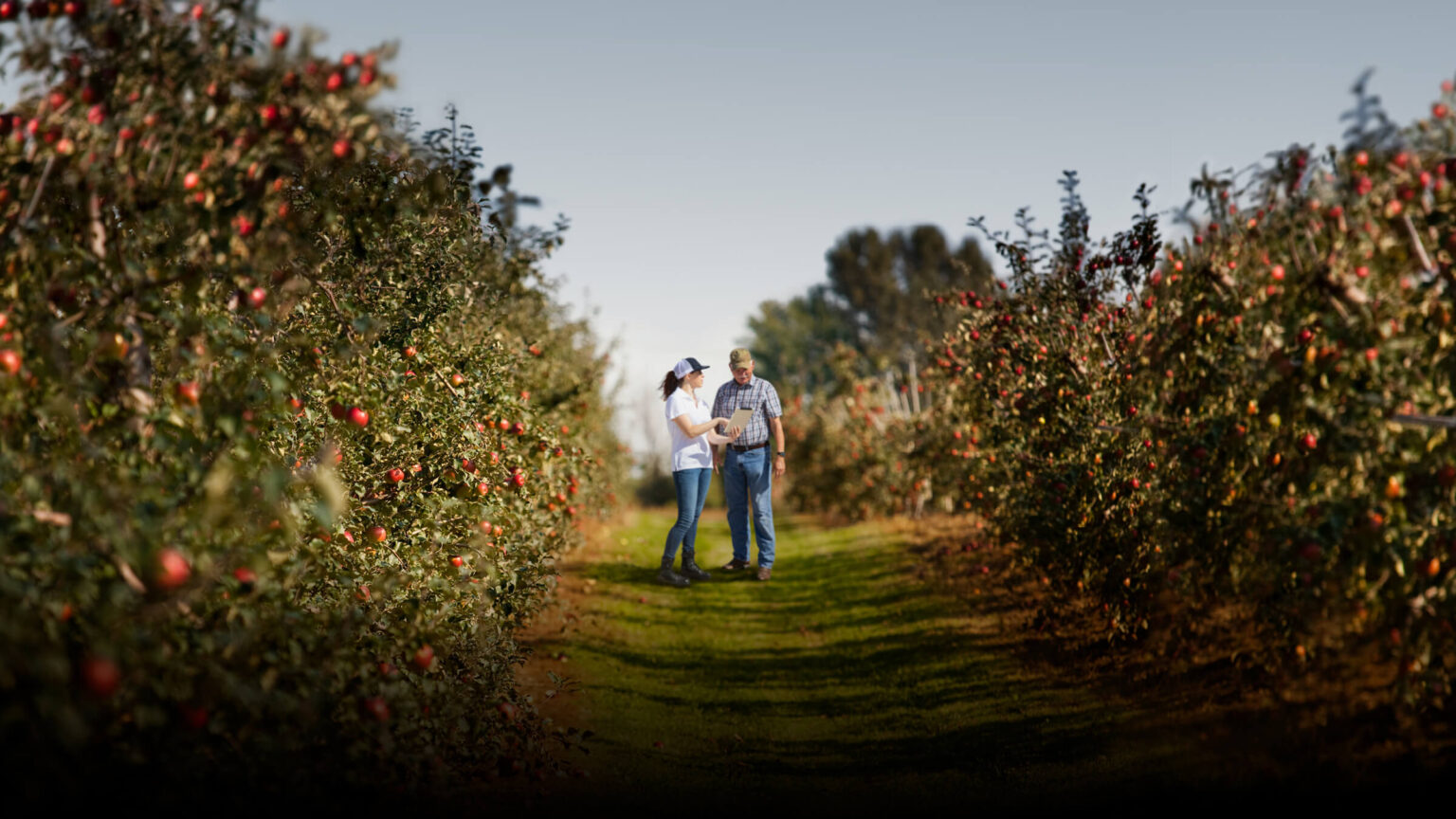 WilburEllis The Power of We broadhead.