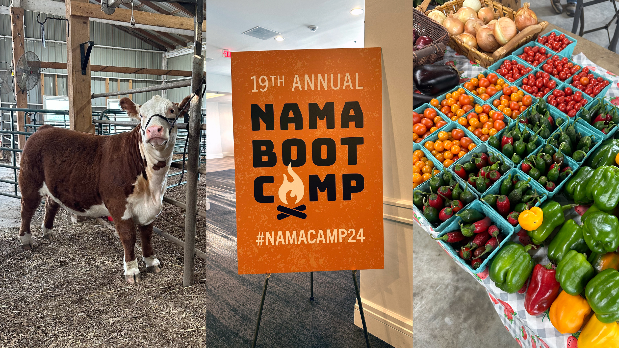 NAMA Bootcamp Recap