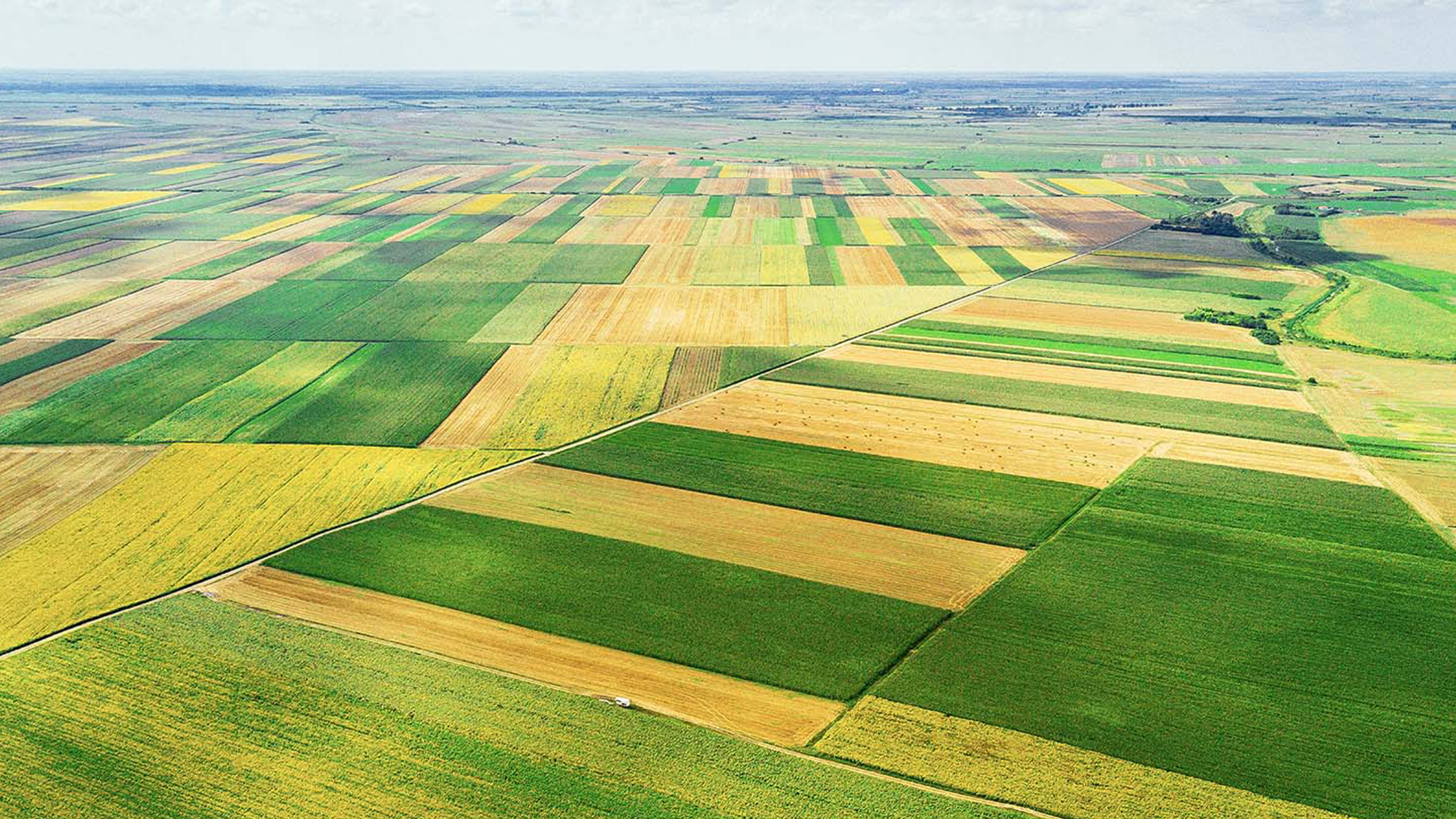 Farmland from above